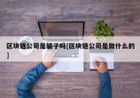 区块链公司是骗子吗[区块链公司是做什么的]